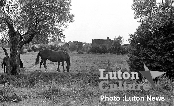 Moat Farm, Limbury, 1948