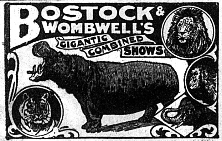 Bostock &Wombwell Circus ad