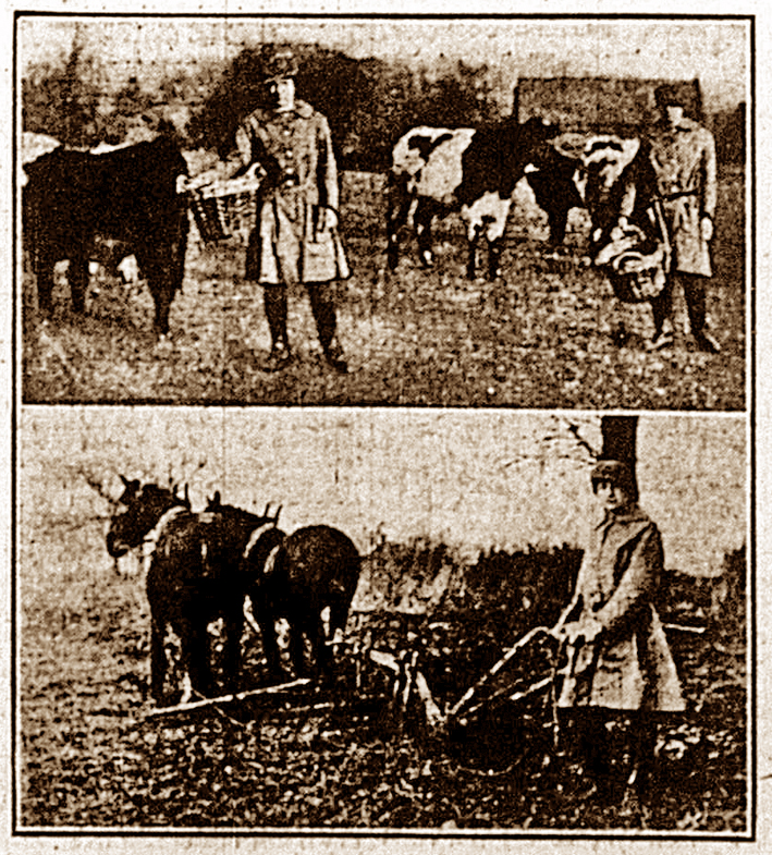 Peck daughters on the farm